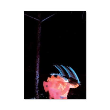 Poster Envol Nocturne
