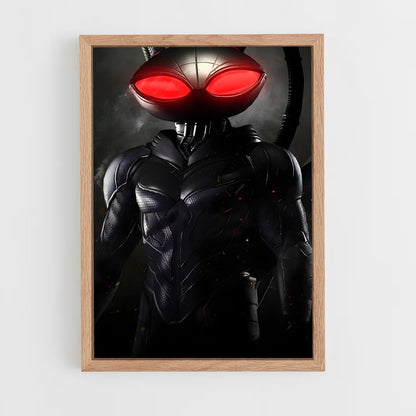 ap-black manta-12 cadre Bois clair