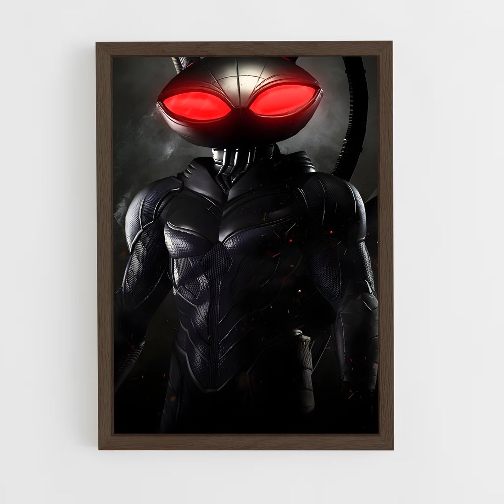 ap-black manta-12 cadre Bois foncé
