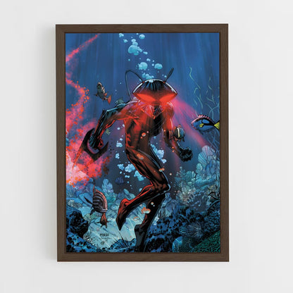 ap-black manta-2 cadre Bois foncé