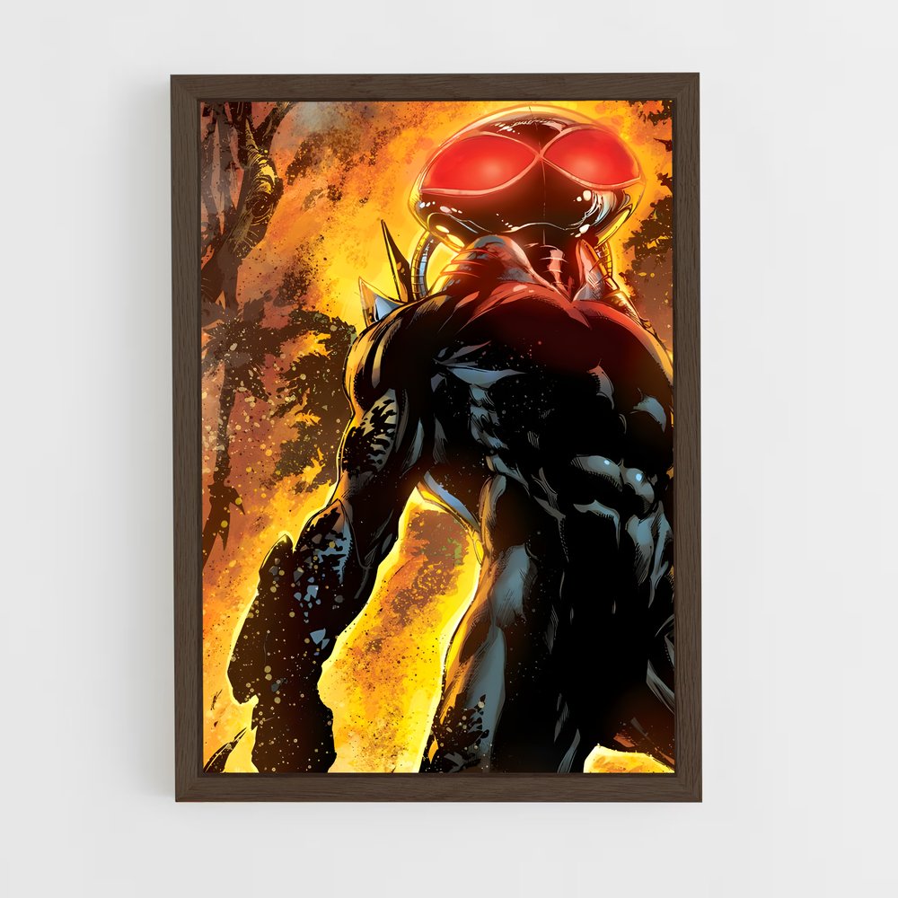 ap-black manta-5 cadre Bois foncé