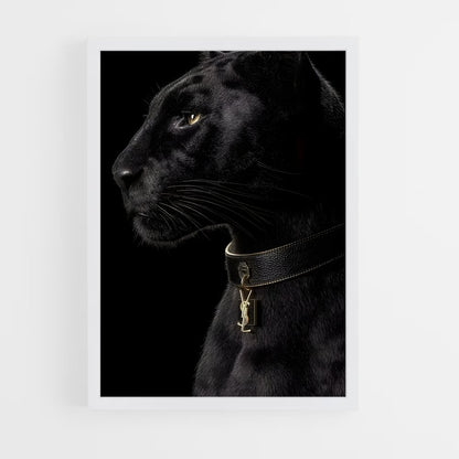 ap-black panther-27 cadre Blanc