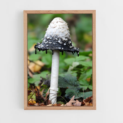 ap-bleeding tooth fungus-1 cadre Bois clair