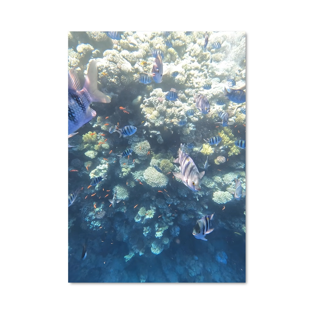 Poster Blue hole dahab egypt 67490