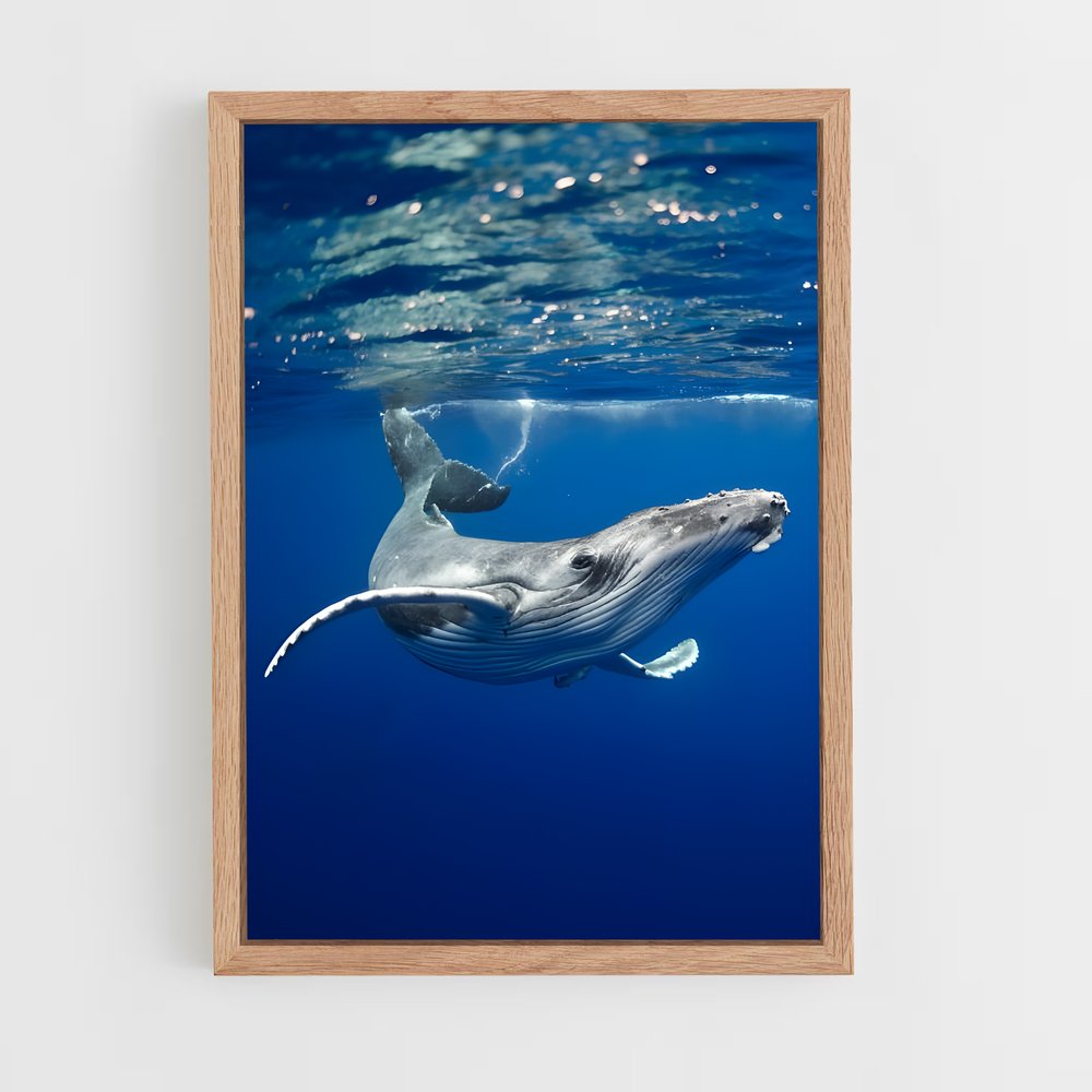 ap-blue whale-4 cadre Bois clair