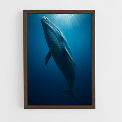 ap-blue whale-6 cadre Bois foncé
