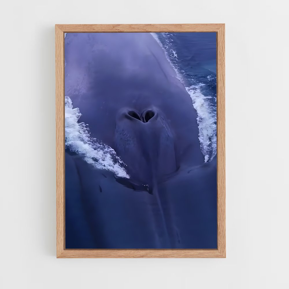 ap-blue whale-7 cadre Bois clair