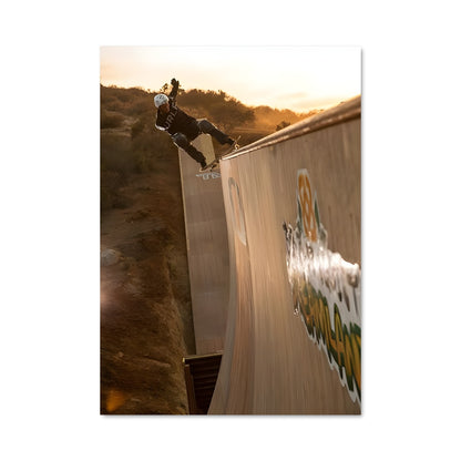 Poster Bob burnquist 68041