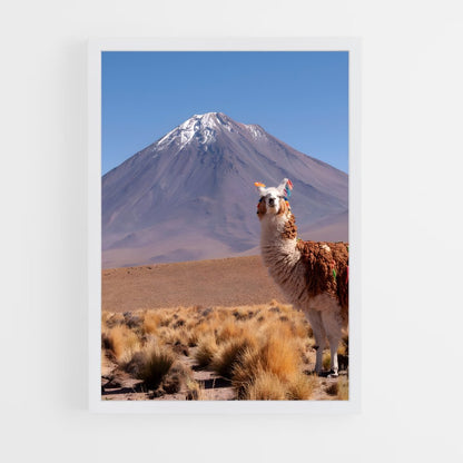 ap-bolivia-10 cadre Blanc