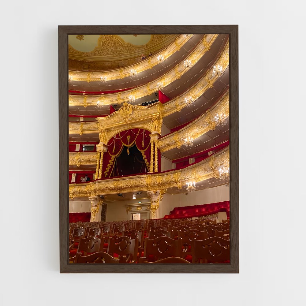 ap-bolshoi ballet moscow-1 cadre Bois foncé