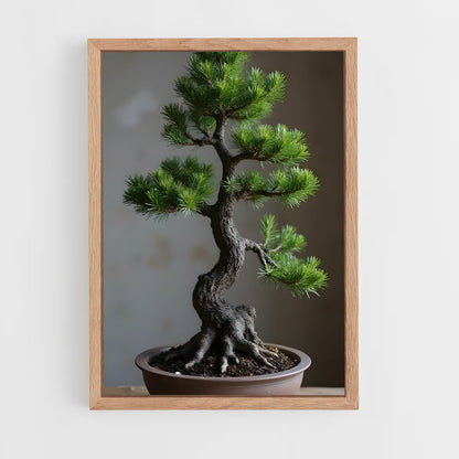 ap-bonsai-1 cadre Bois clair