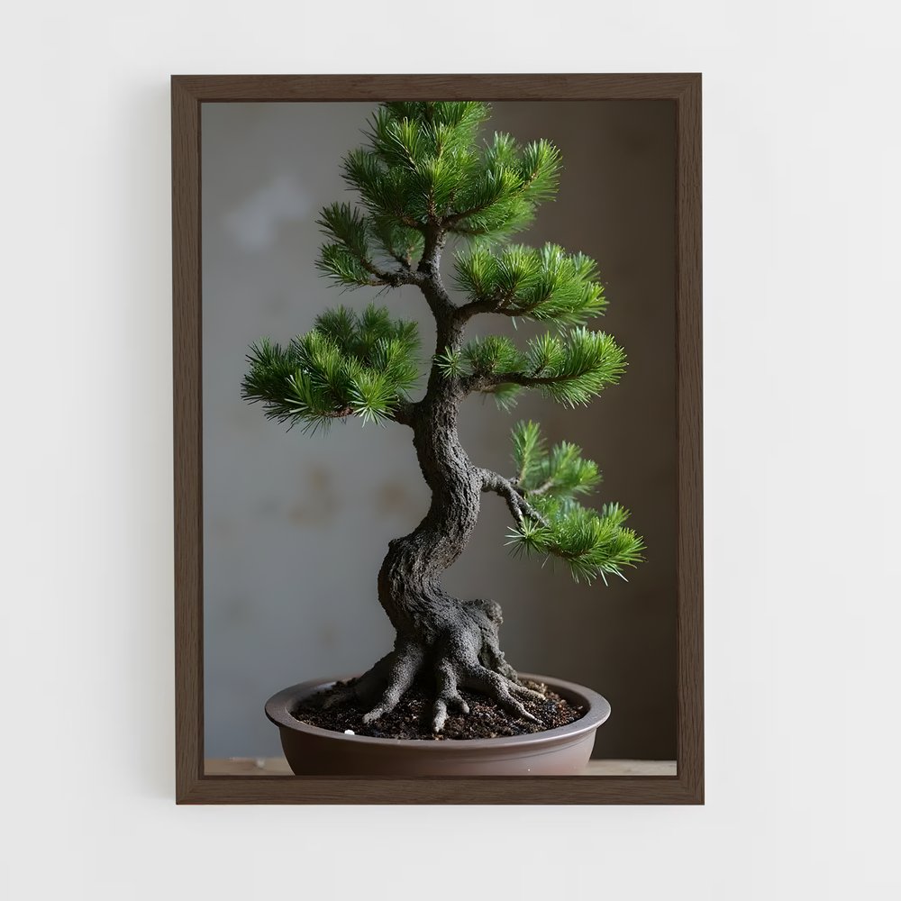 ap-bonsai-1 cadre Bois foncé
