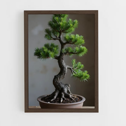 ap-bonsai-1 cadre Bois foncé