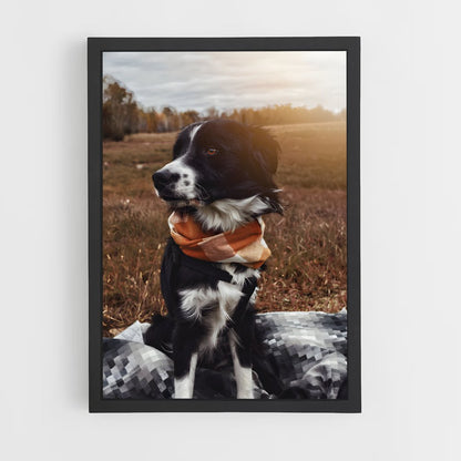 ap-border collie-4 cadre Noir