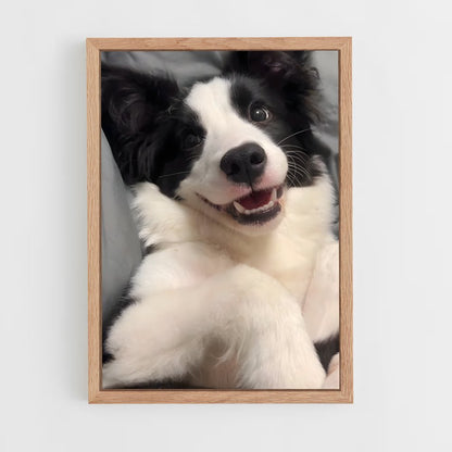 ap-border collie-6 cadre Bois clair