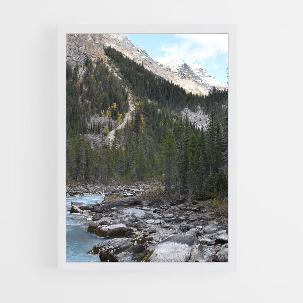 ap-boreal forest-1 cadre Blanc