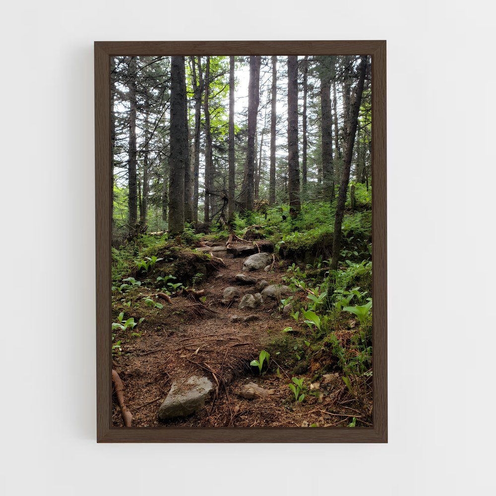 ap-boreal forest-3 cadre Bois foncé