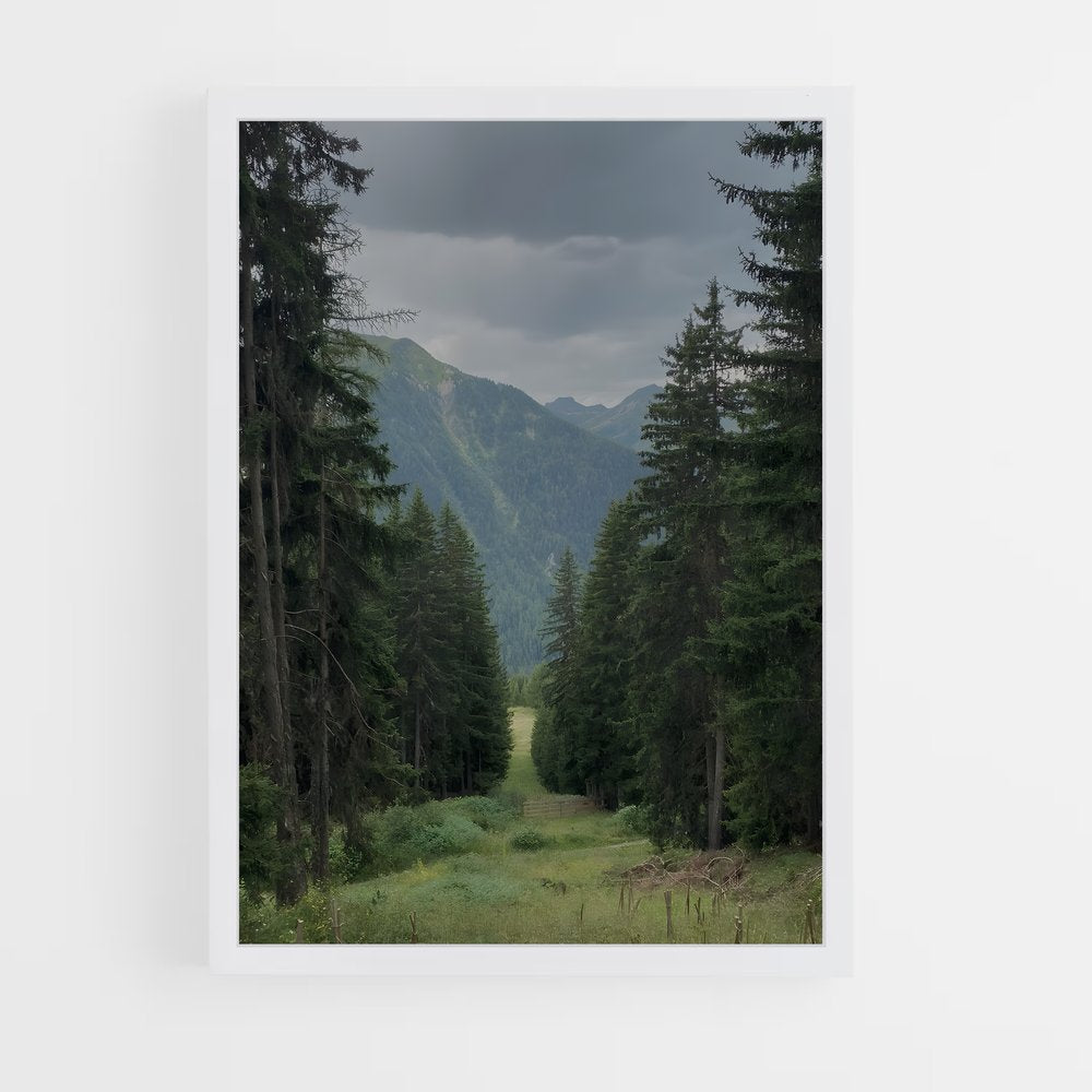ap-boreal forest-5 cadre Blanc