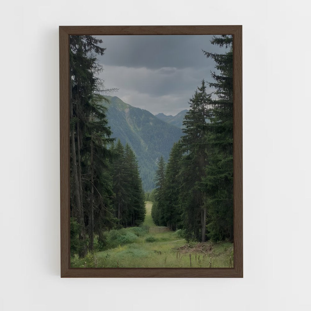 ap-boreal forest-5 cadre Bois foncé