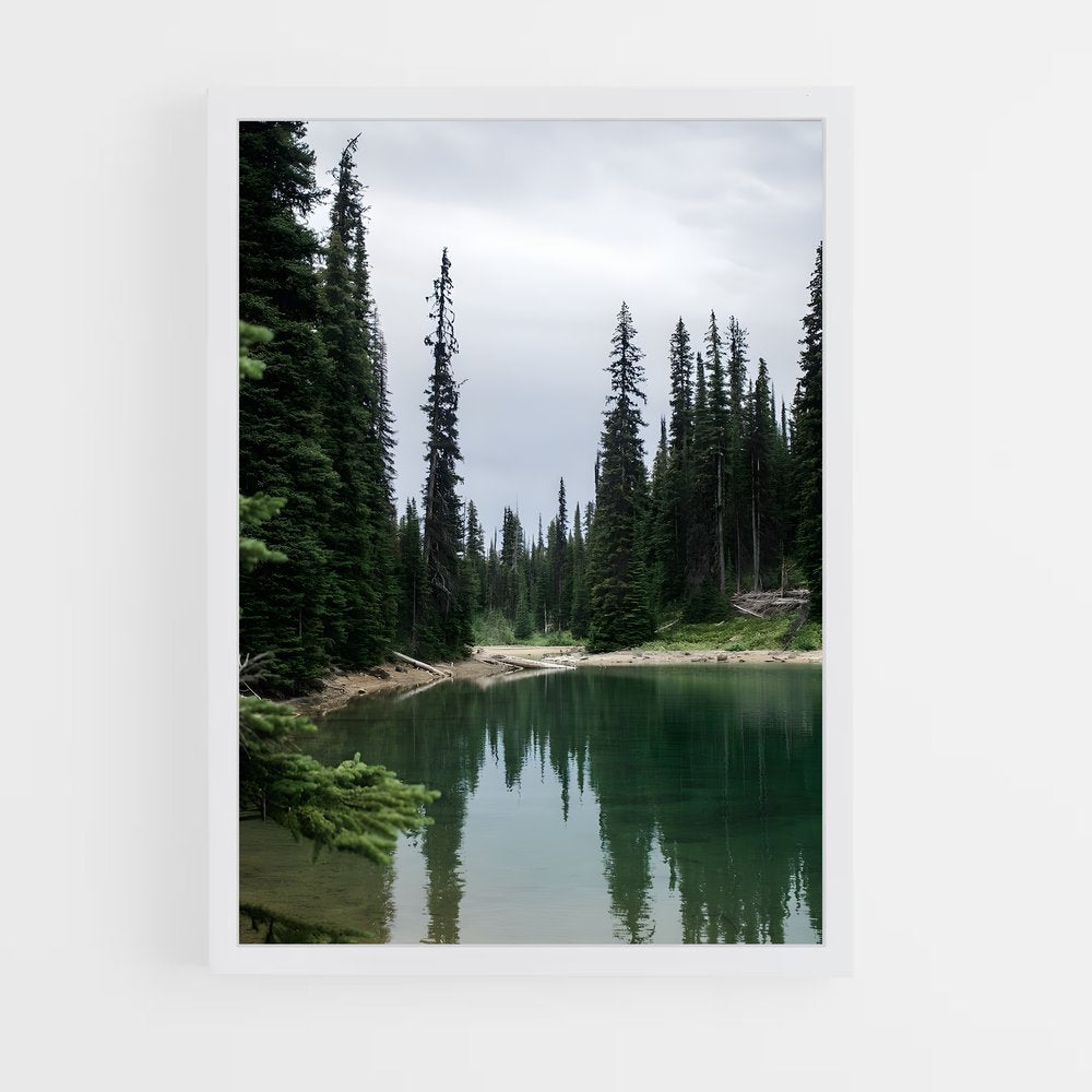 ap-boreal forest-6 cadre Blanc