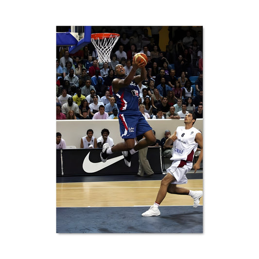 Poster Boris diaw 58940