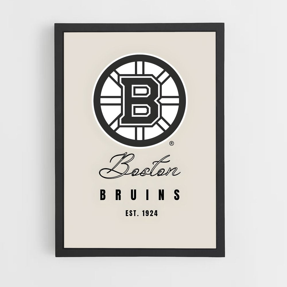 ap-boston bruins-5 cadre Noir