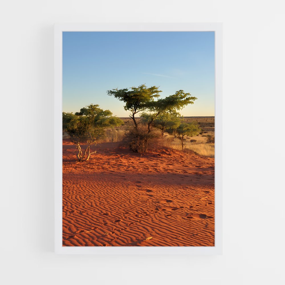 ap-botswana-4 cadre Blanc