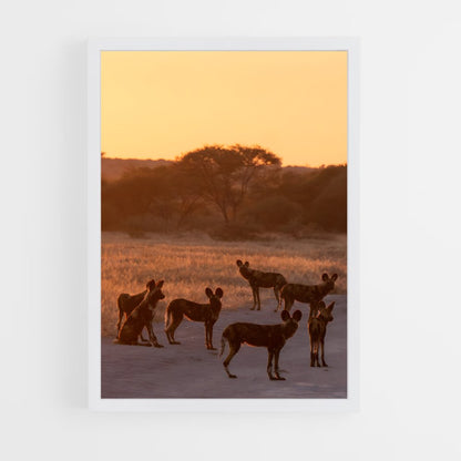ap-botswana-5 cadre Blanc