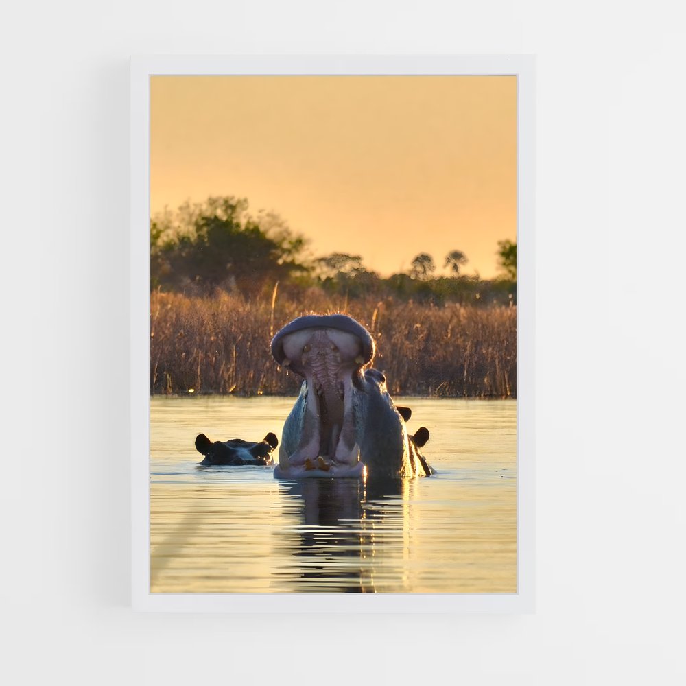 ap-botswana-7 cadre Blanc