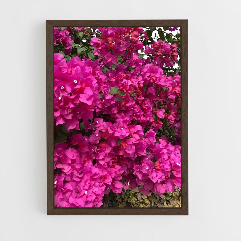 ap-bougainvillea-6 cadre Bois foncé