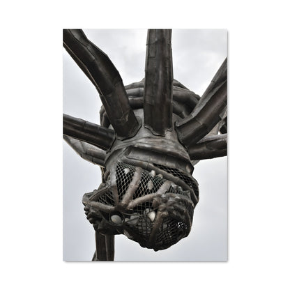Poster Oiseau en Cage