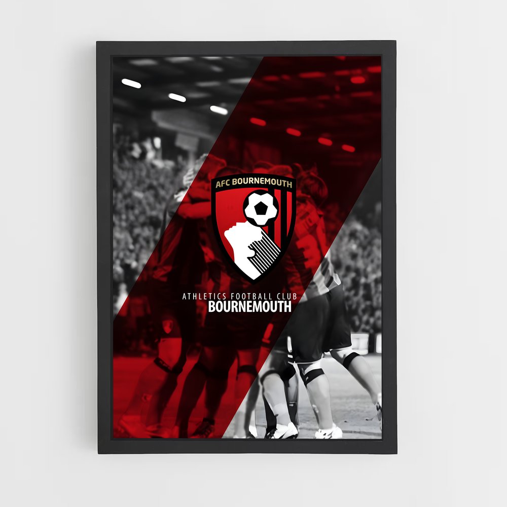 ap-bournemouth afc-13 cadre Noir