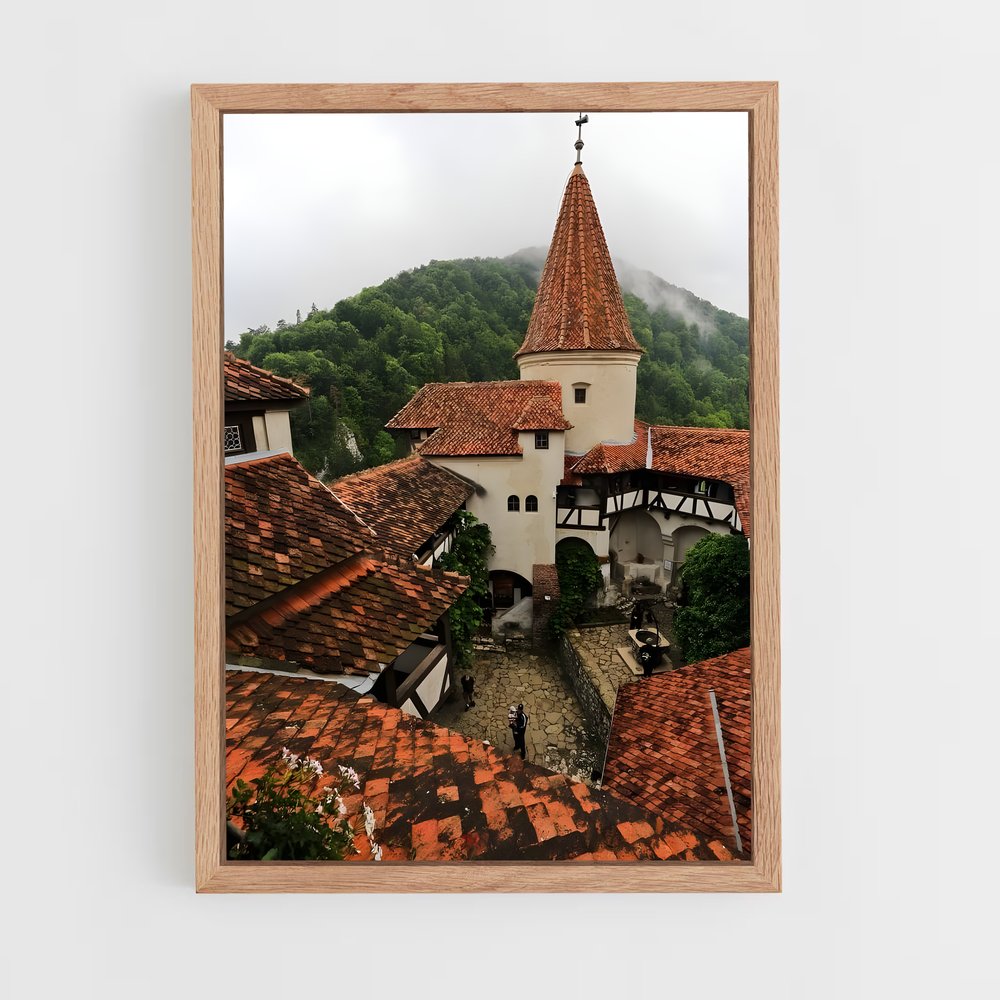 ap-bran castle-1 cadre Bois clair