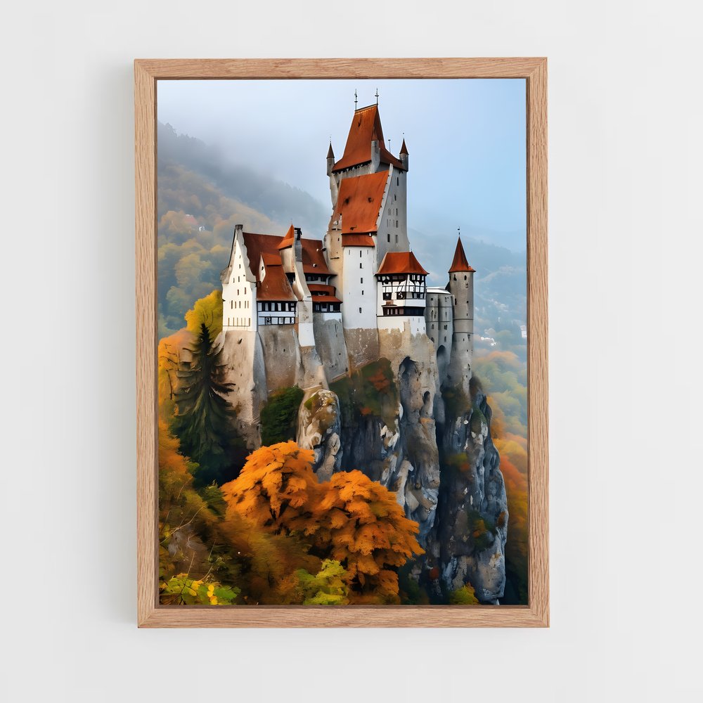 ap-bran castle-7 cadre Bois clair