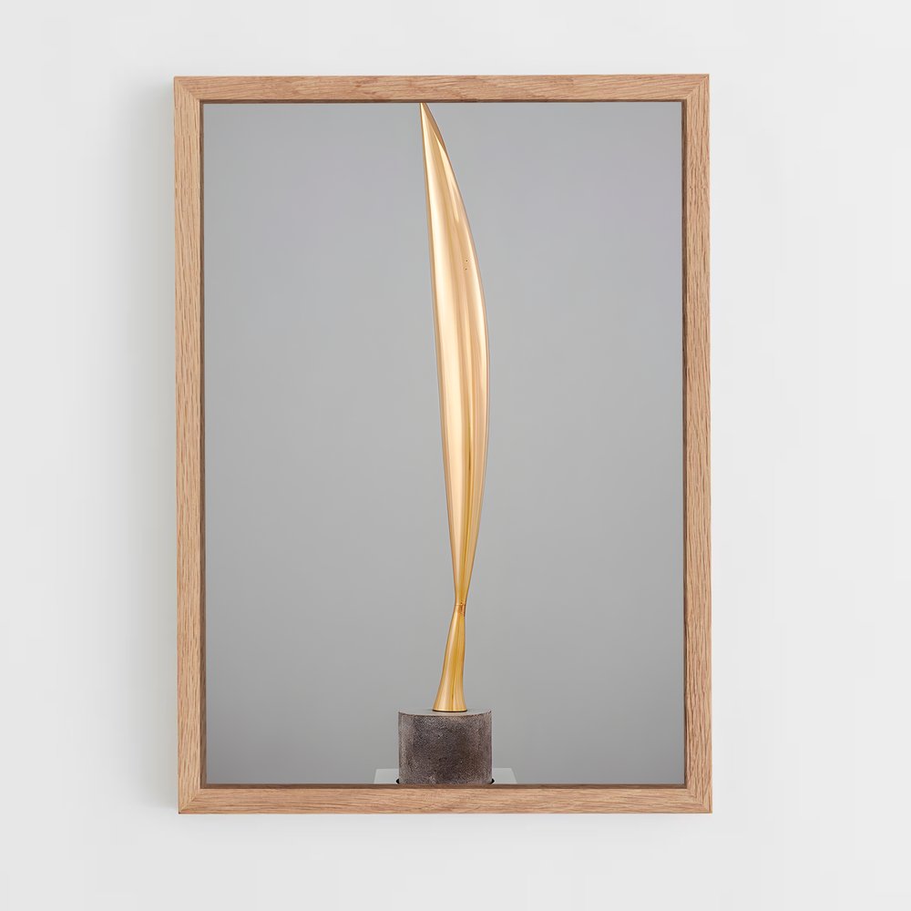 ap-brancusi bird in space-2 cadre Bois clair