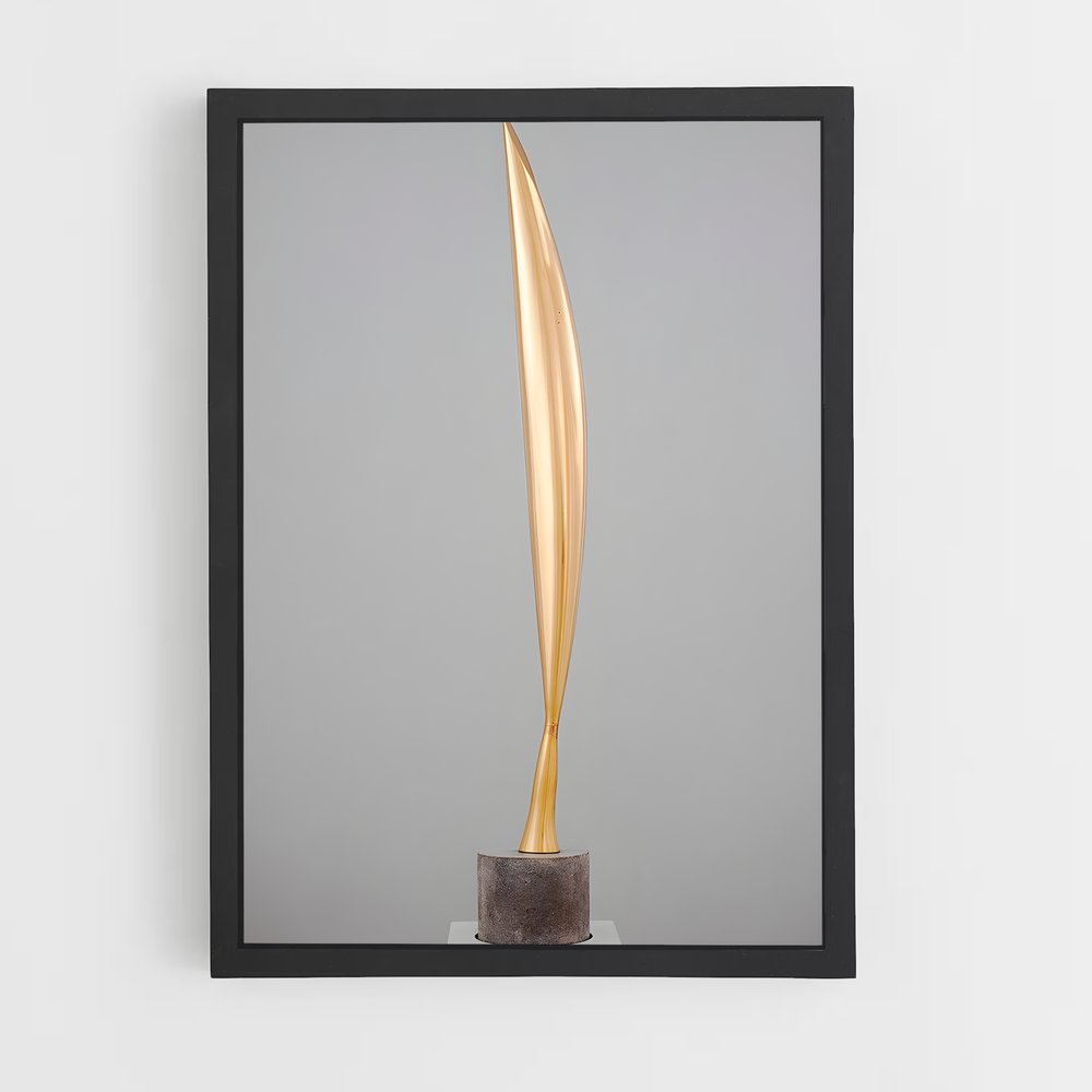 ap-brancusi bird in space-2 cadre Noir