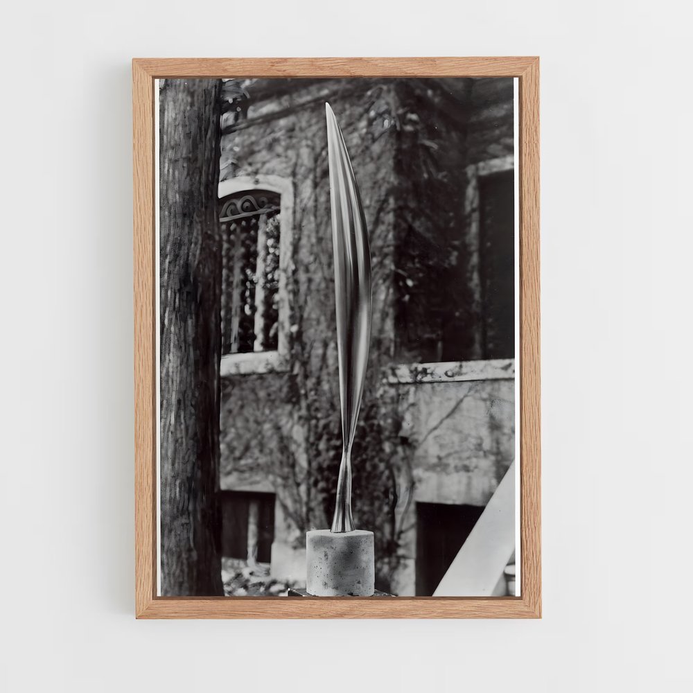 ap-brancusi bird in space-4 cadre Bois clair