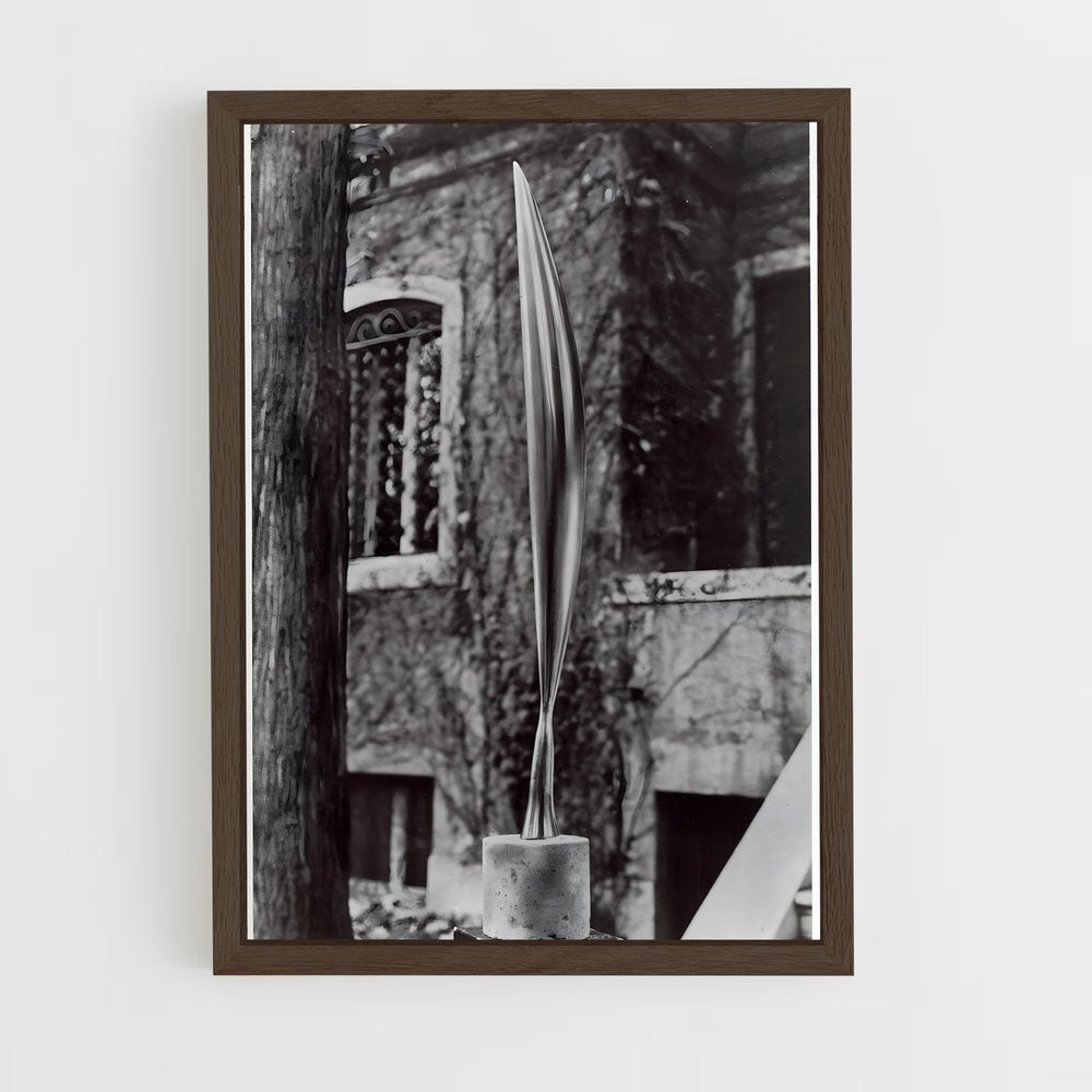 ap-brancusi bird in space-4 cadre Bois foncé