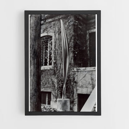 ap-brancusi bird in space-4 cadre Noir