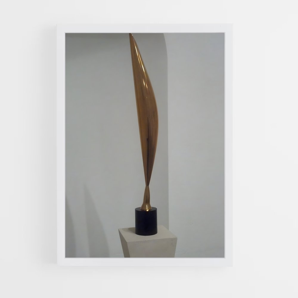 ap-brancusi bird in space-6 cadre Blanc