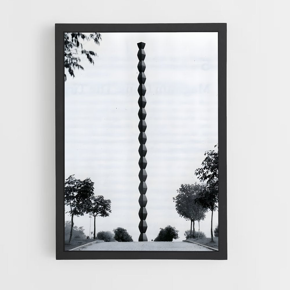 ap-brancusi endless column-1 cadre Noir