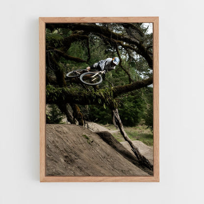 ap-brandon semenuk-8 cadre Bois clair