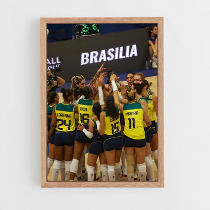 ap-brazil national volleyball team-1 cadre Bois clair