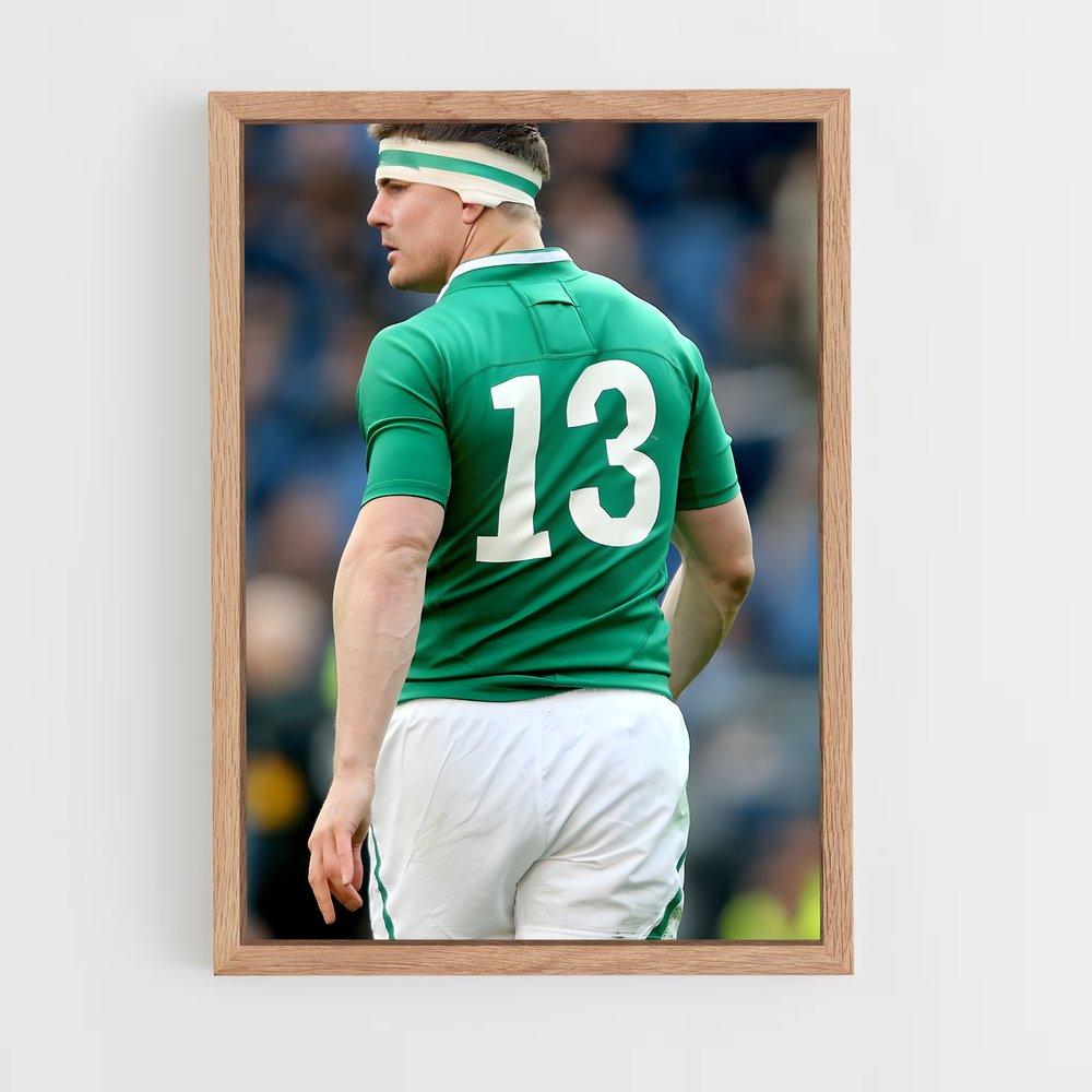 ap-brian o'driscoll-1 cadre Bois clair