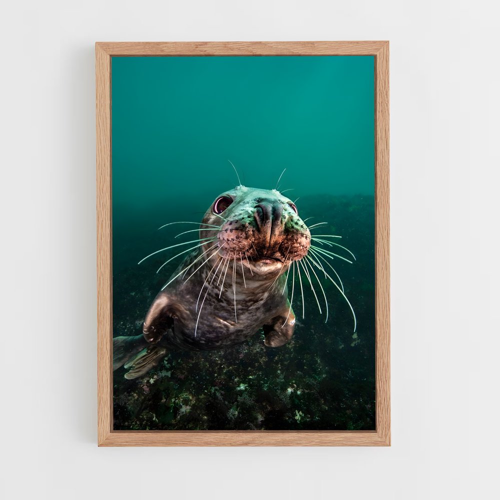 ap-brian skerry-1 cadre Bois clair