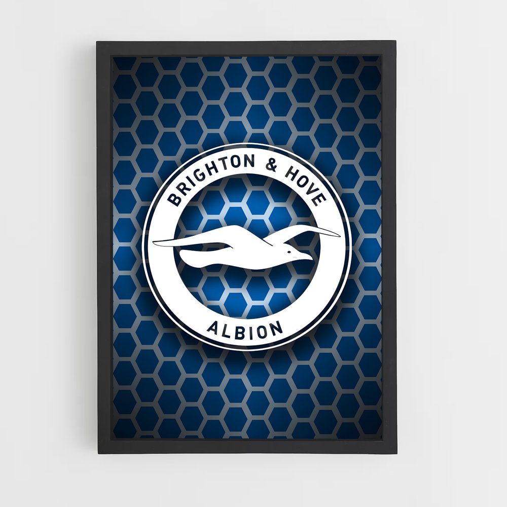ap-brighton hove albion fc-5 cadre Noir
