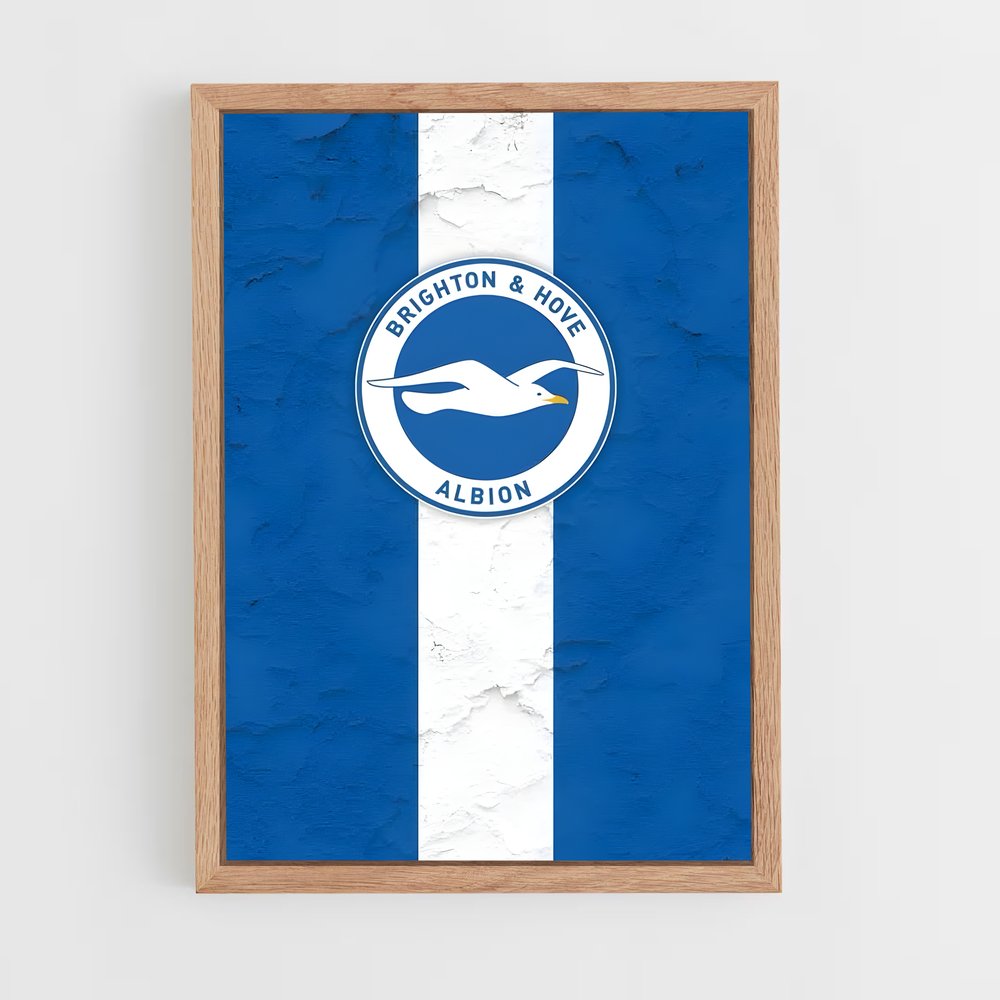 ap-brighton hove albion fc-8 cadre Bois clair