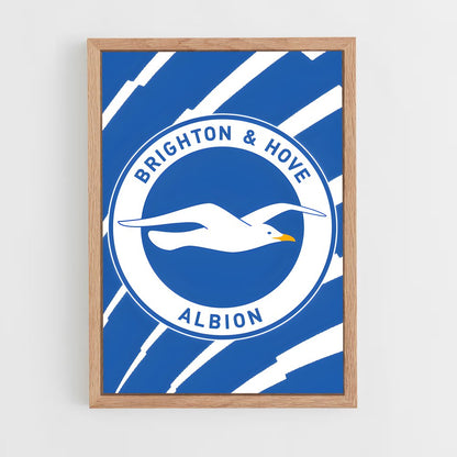 ap-brighton hove albion fc-9 cadre Bois clair