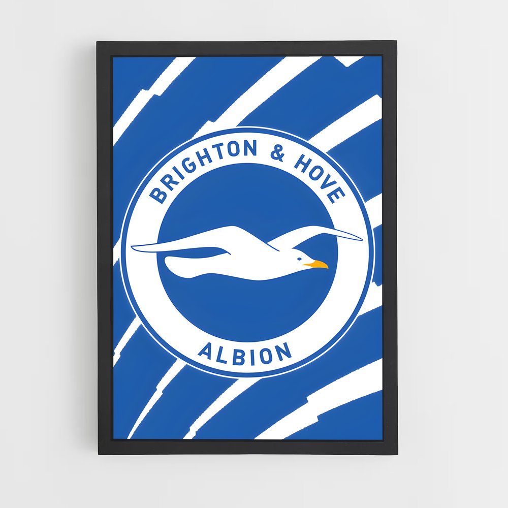ap-brighton hove albion fc-9 cadre Noir