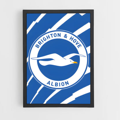 ap-brighton hove albion fc-9 cadre Noir